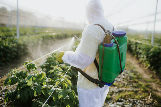 Best Pest Control for Businesses  in Licking, MO